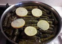 ZEYTİNYAĞLI YAPRAK SARMASI