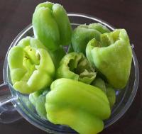 KIYMALI BİBER DOLMASI 
