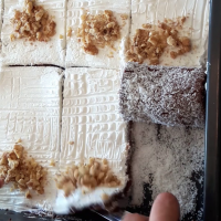 KAKAOLU PAŞA SARMASI