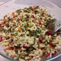 MAKARNA SALATASI GARNİTÜRLÜ
