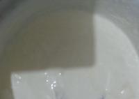 MAKARNA SALATASI