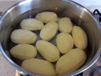 PATATES SALATASI