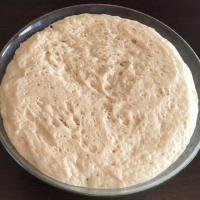 SODALI PEYNİRLİ YUMUŞAK POĞAÇA