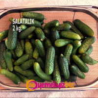  SALATALIK TURŞU YAPIMI