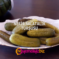  SALATALIK TURŞU YAPIMI