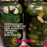  SALATALIK TURŞU YAPIMI