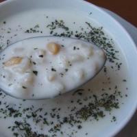 SOĞUK AYRAN ÇORBASI