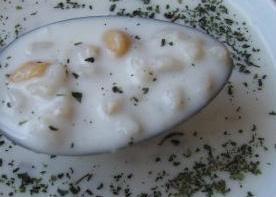 SOĞUK AYRAN ÇORBASI