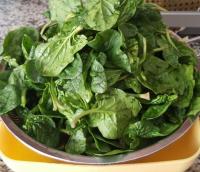 ZEYTİNYAĞLI ISPANAK  YEMEĞİ